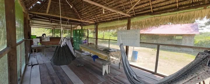 Foundation Shipibo Ayahuasca & Shamanism