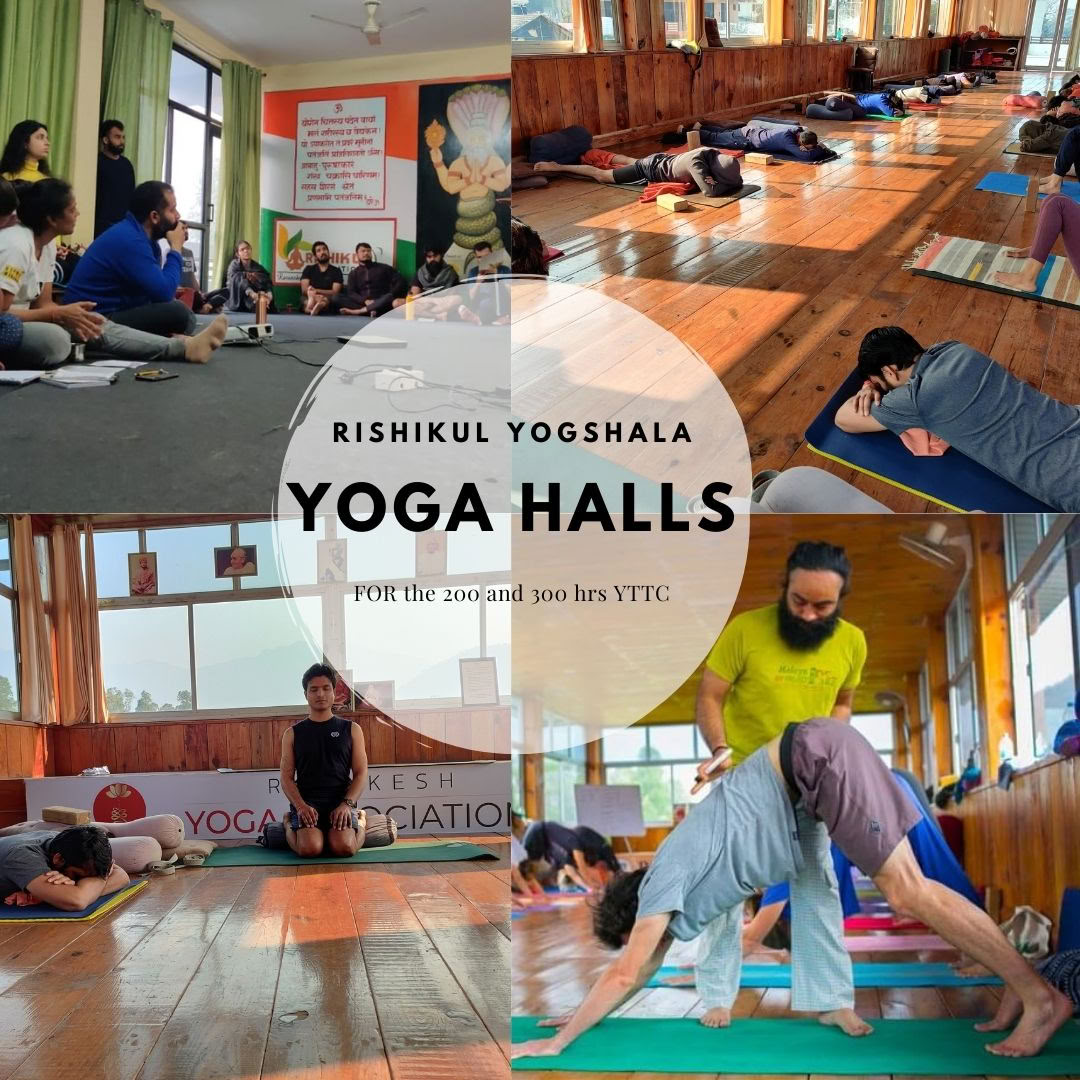 Rishikul Yogshala Rishikesh - Formazione Insegnanti di Yoga a Rishikesh, India