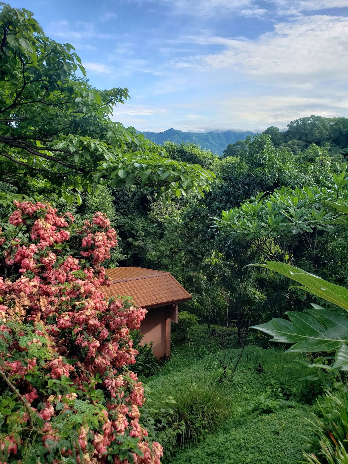 AmaTierra Yoga Ritiro e Wellness Center