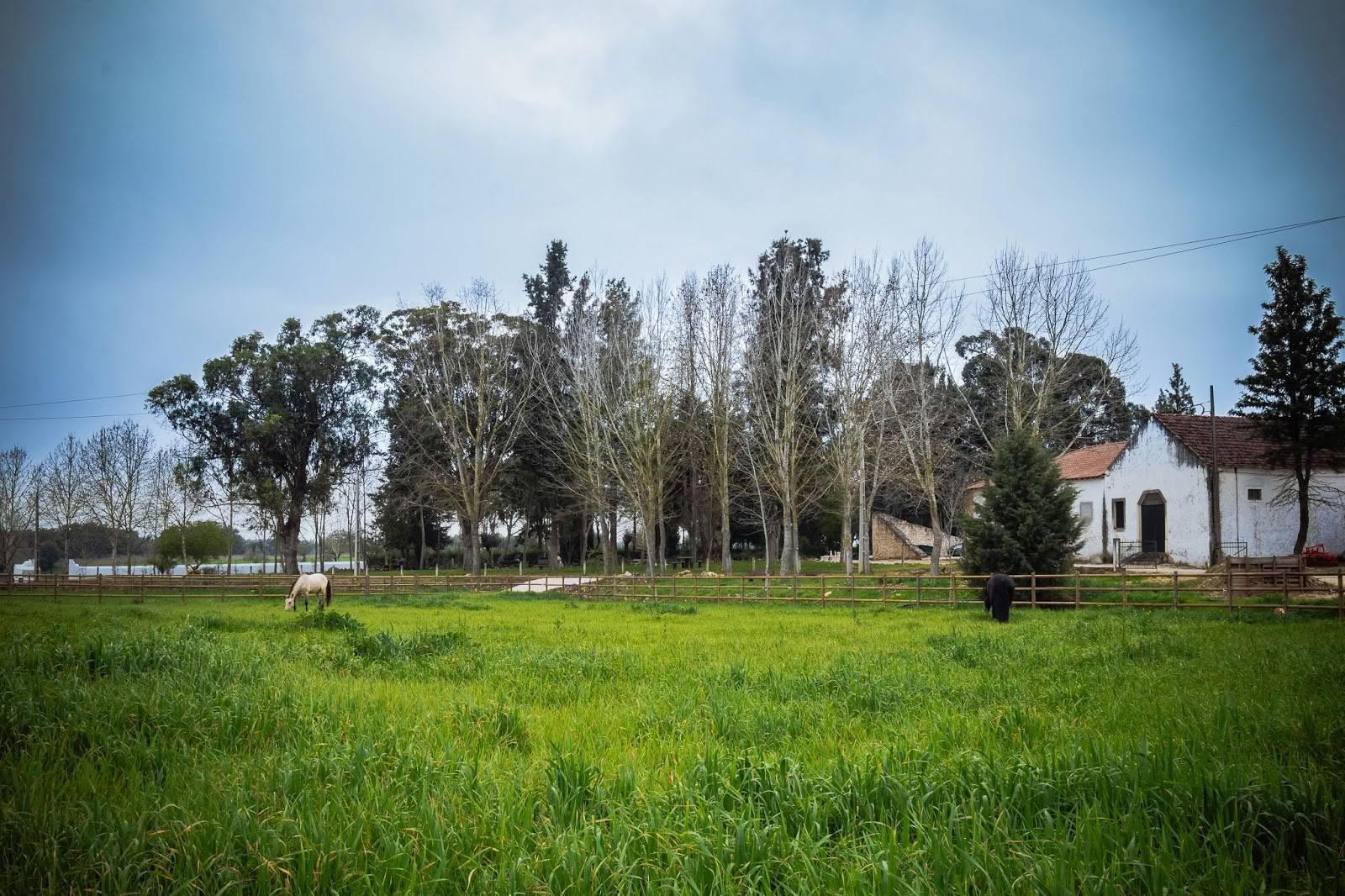 Quinta Carvalhas - AFV Ritiri