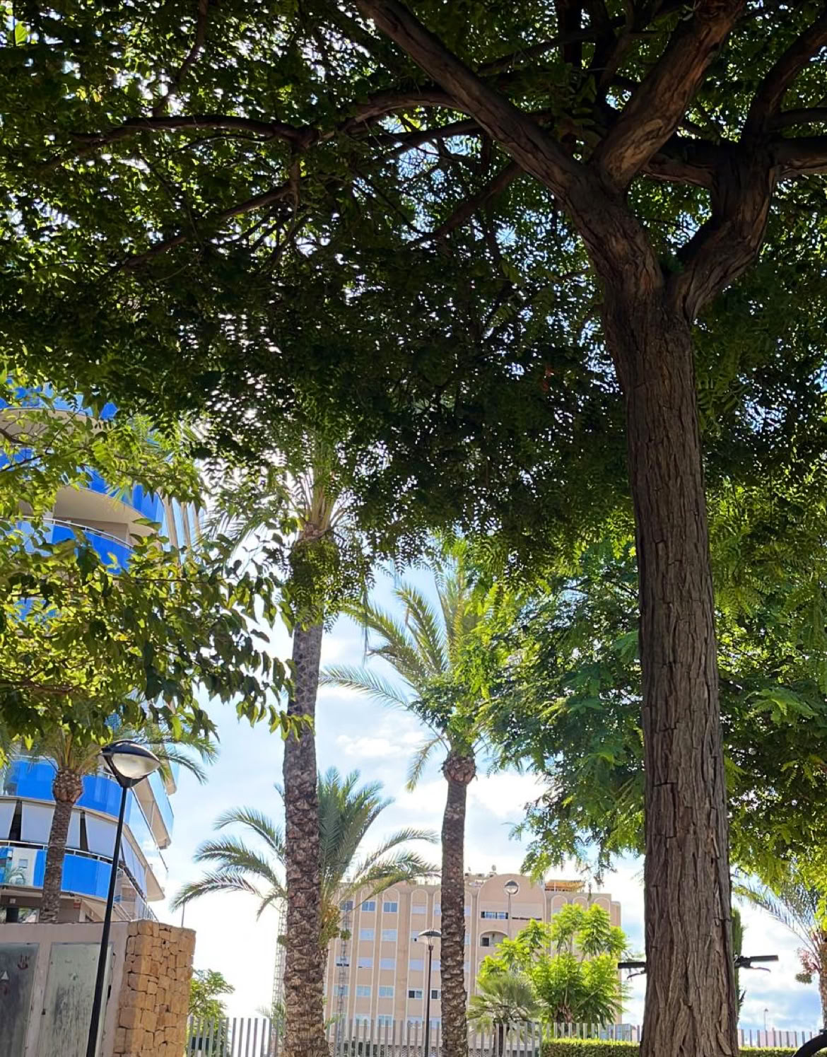 REVIVE RITIRI & FITNESS by Bomba Fitness Campello