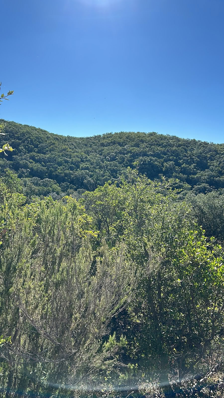Essencia Nature Retreat