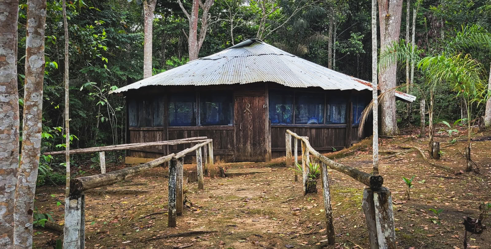El Purguero Ayahuasca Ritiro