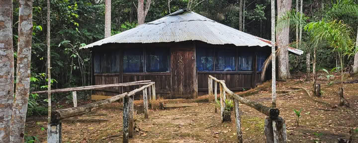 El Purguero Ayahuasca Ritiro