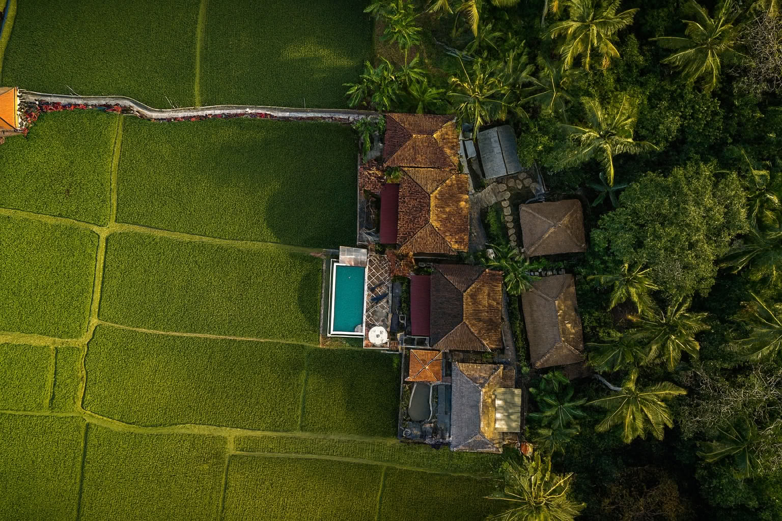 Firefly Retreat