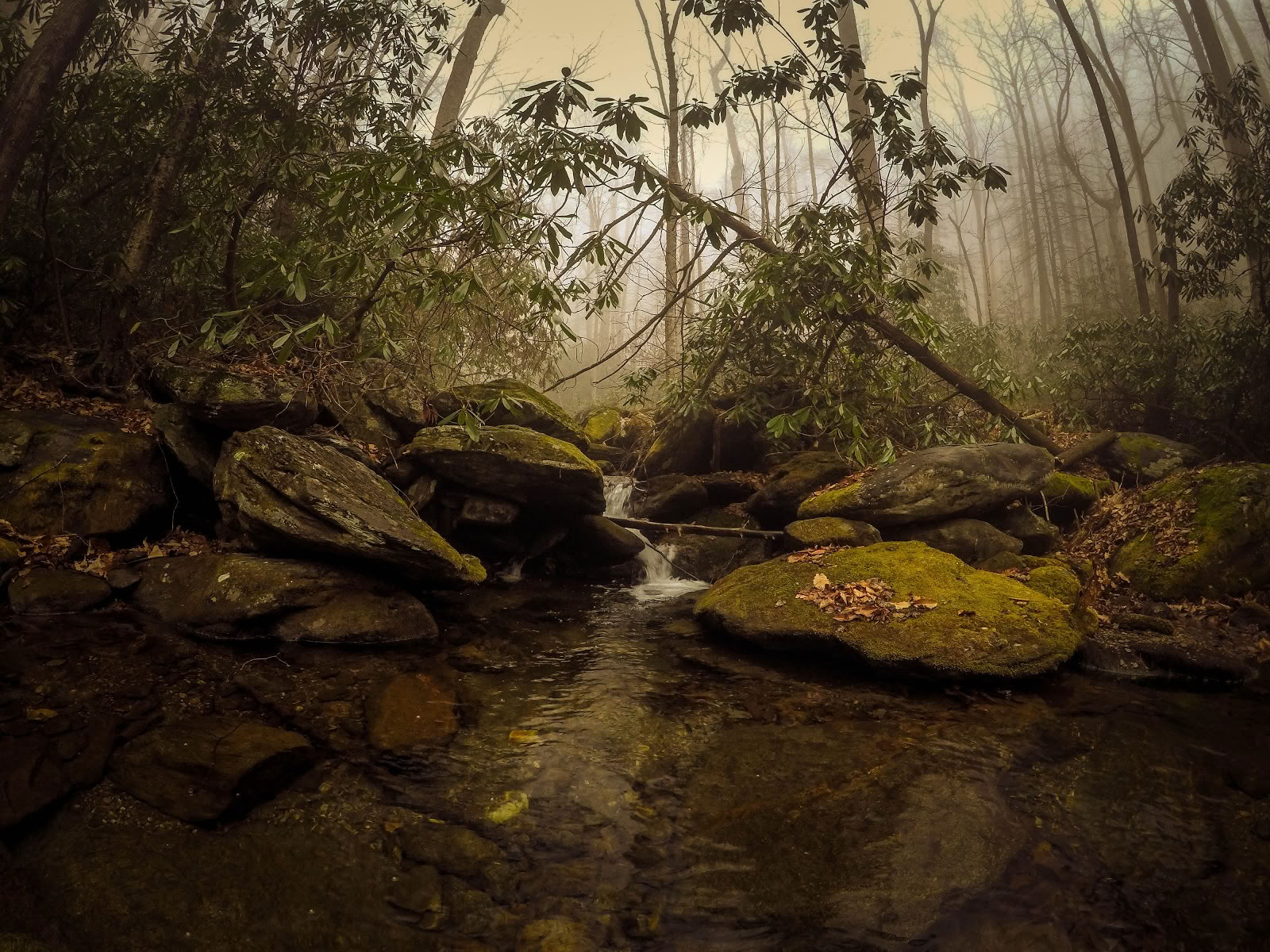 Indigo Nature Retreat