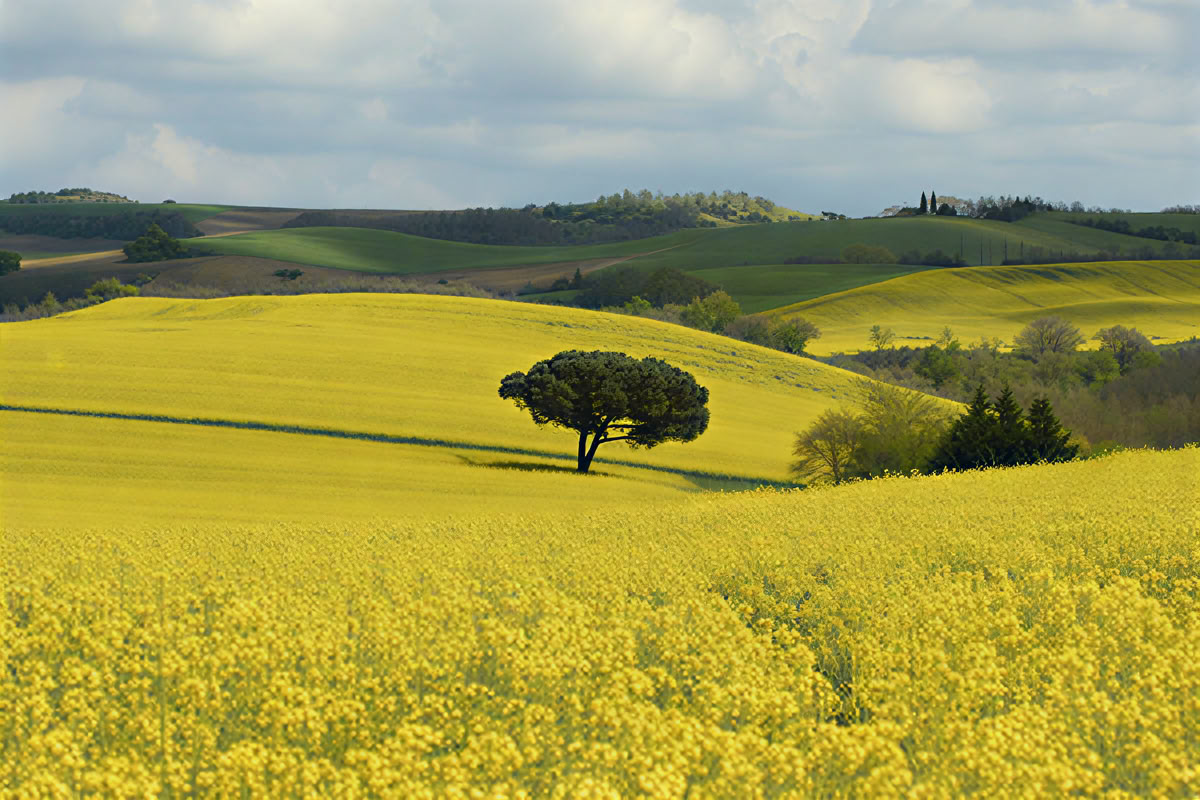 Riconnettersi con la Natura