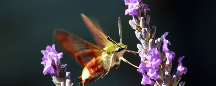 Riconnettersi con la Natura