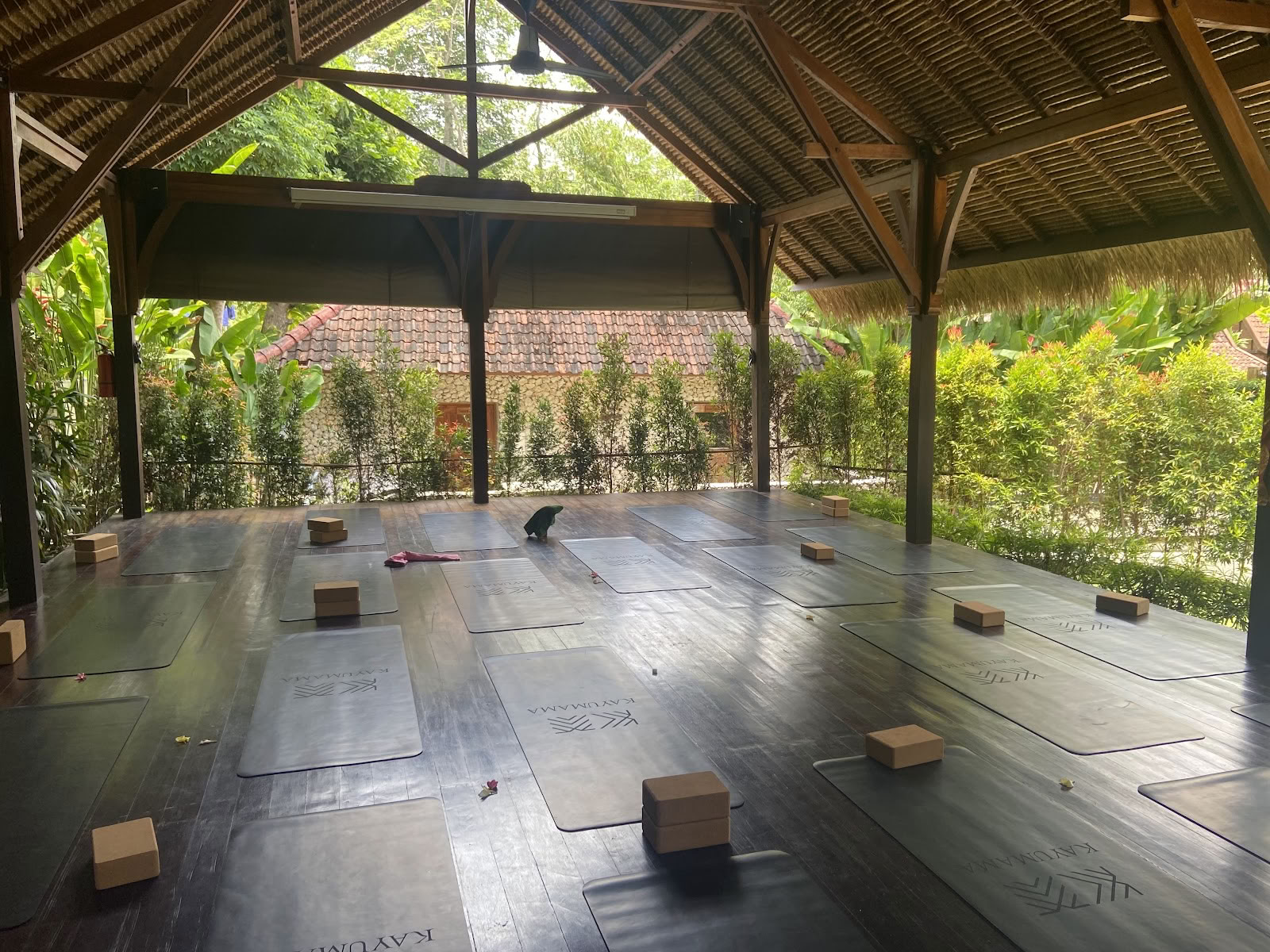 SoHA School of Healing Arts - Formazioni per Insegnanti di Yoga