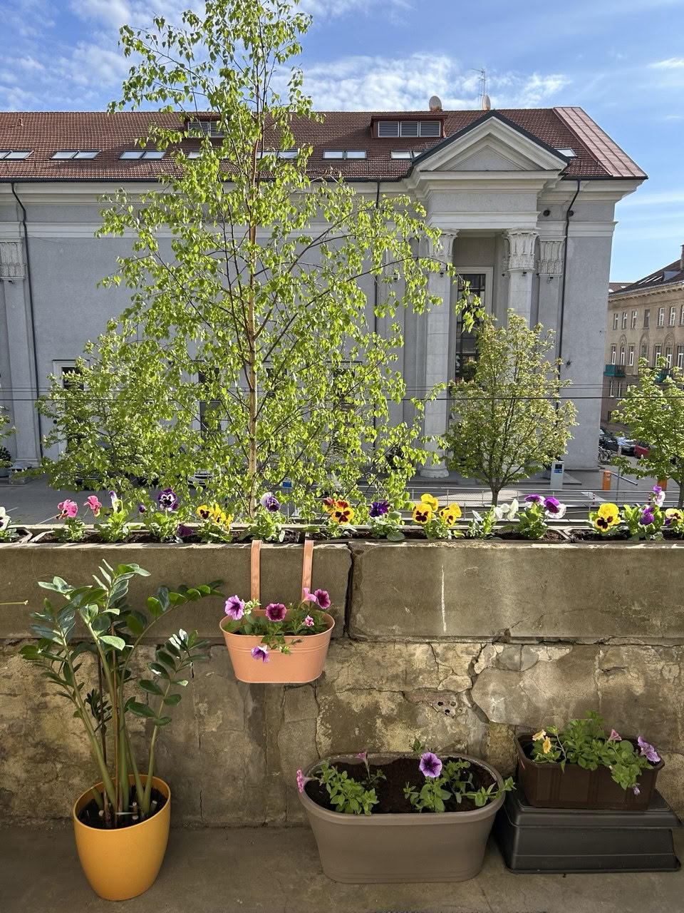 Sivananda Yoga Vedanta Center a Vilnius