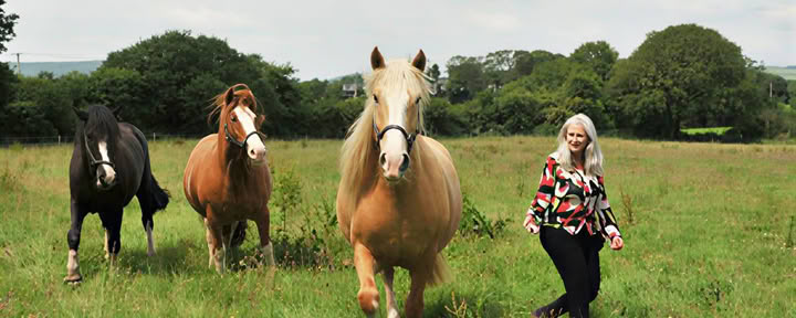 Epona Retreat Centre