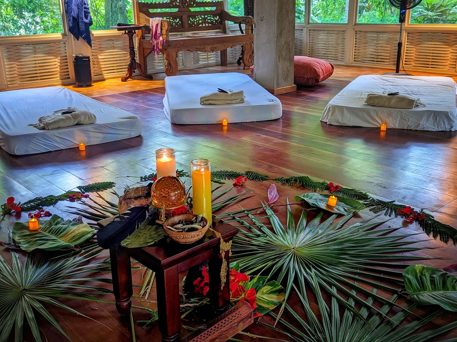 ONE Retreats | Ritiri con funghi psilocibinici