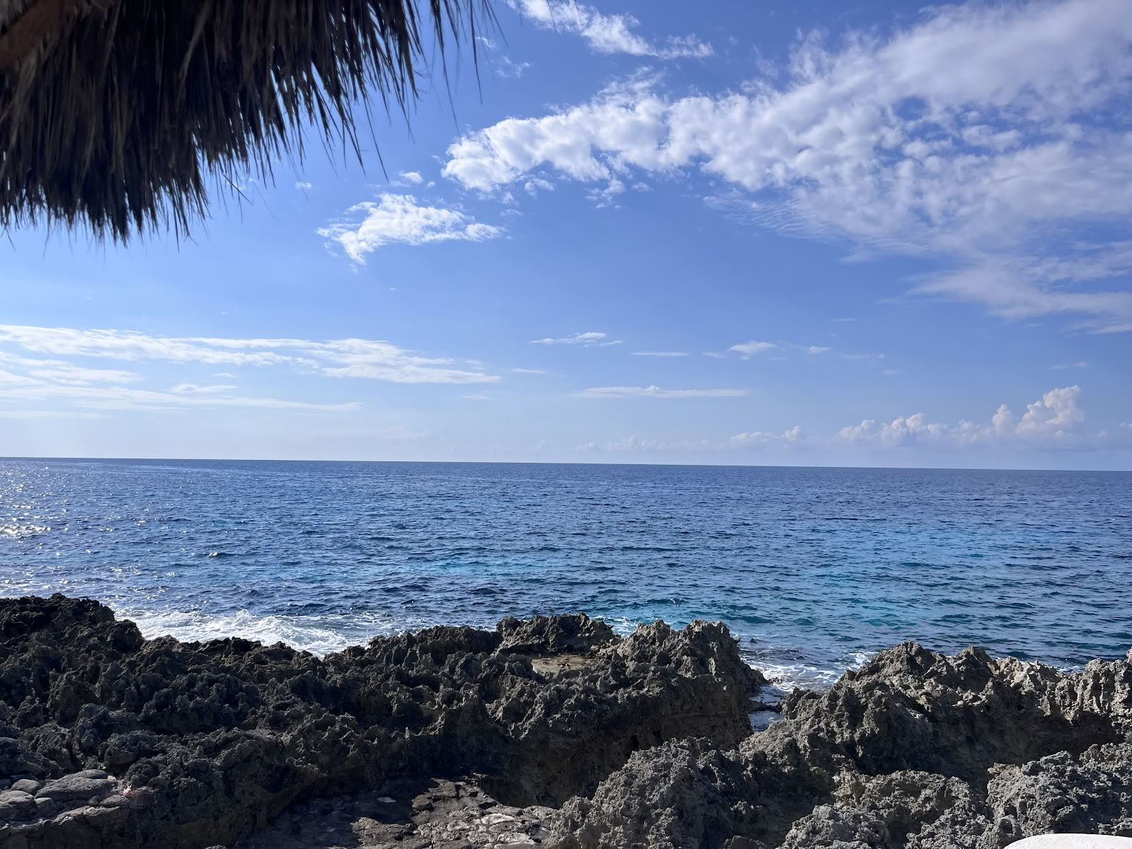 ONE Retreats | Ritiri con funghi psilocibinici