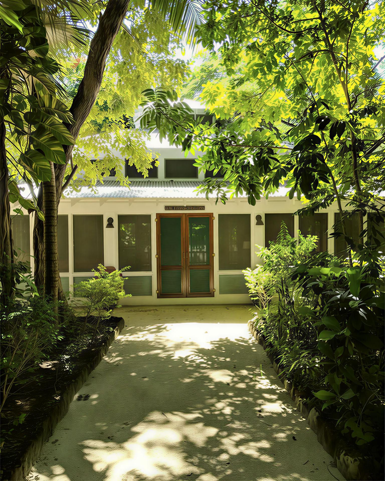 ONE Retreats | Ritiri con funghi psilocibinici
