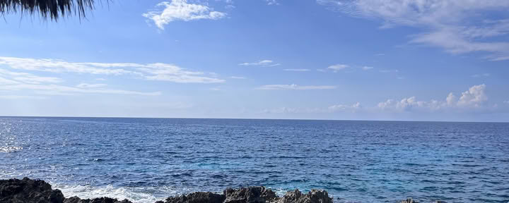 ONE Retreats | Ritiri con funghi psilocibinici
