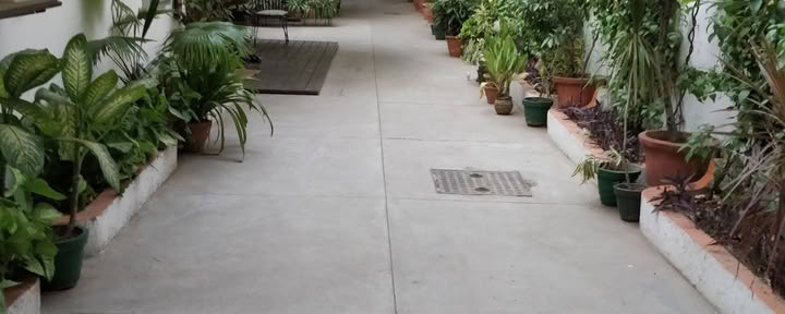 Sivananda Yoga, South Delhi