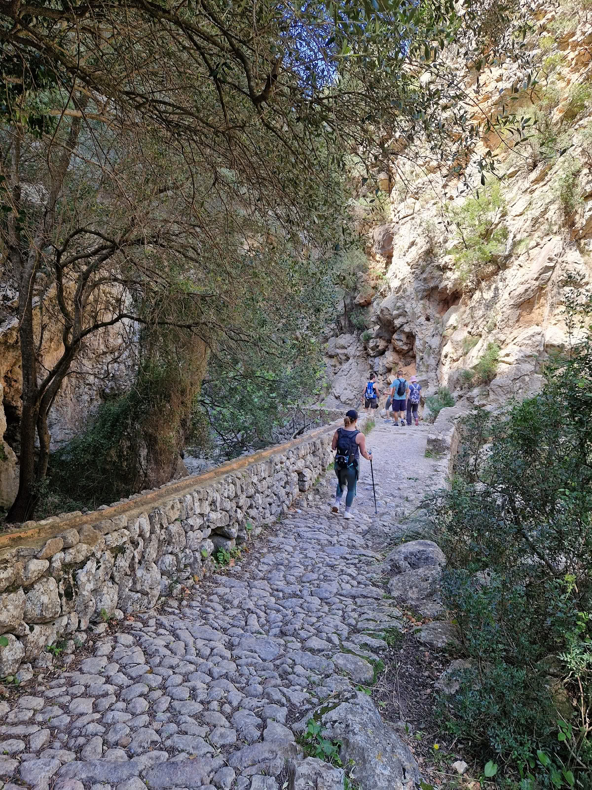 Ritiri a Mallorca