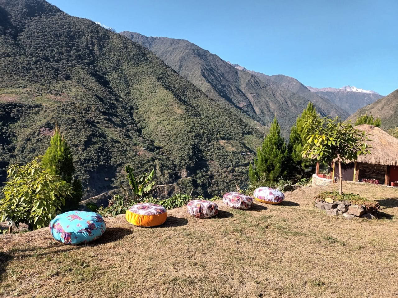 Onaya Ayahuasca Ritiro