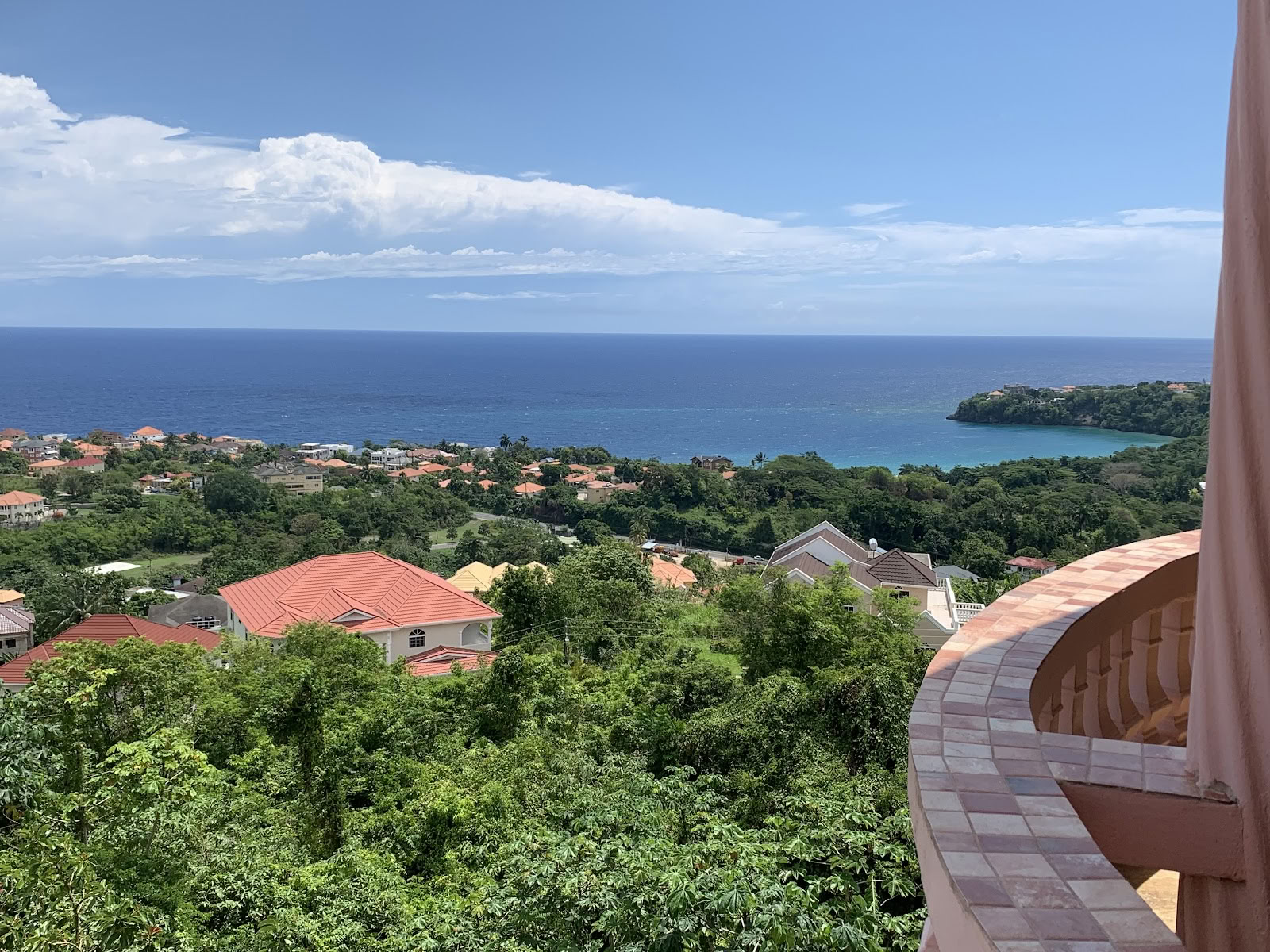 Mycelia Retreat Jamaica