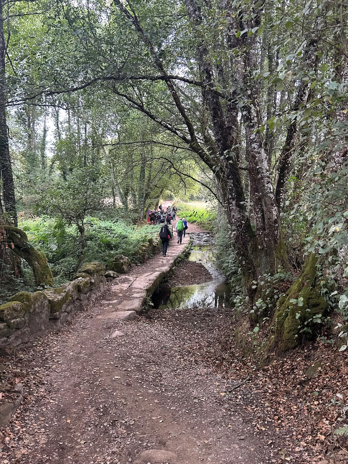 Cammino di Compostela