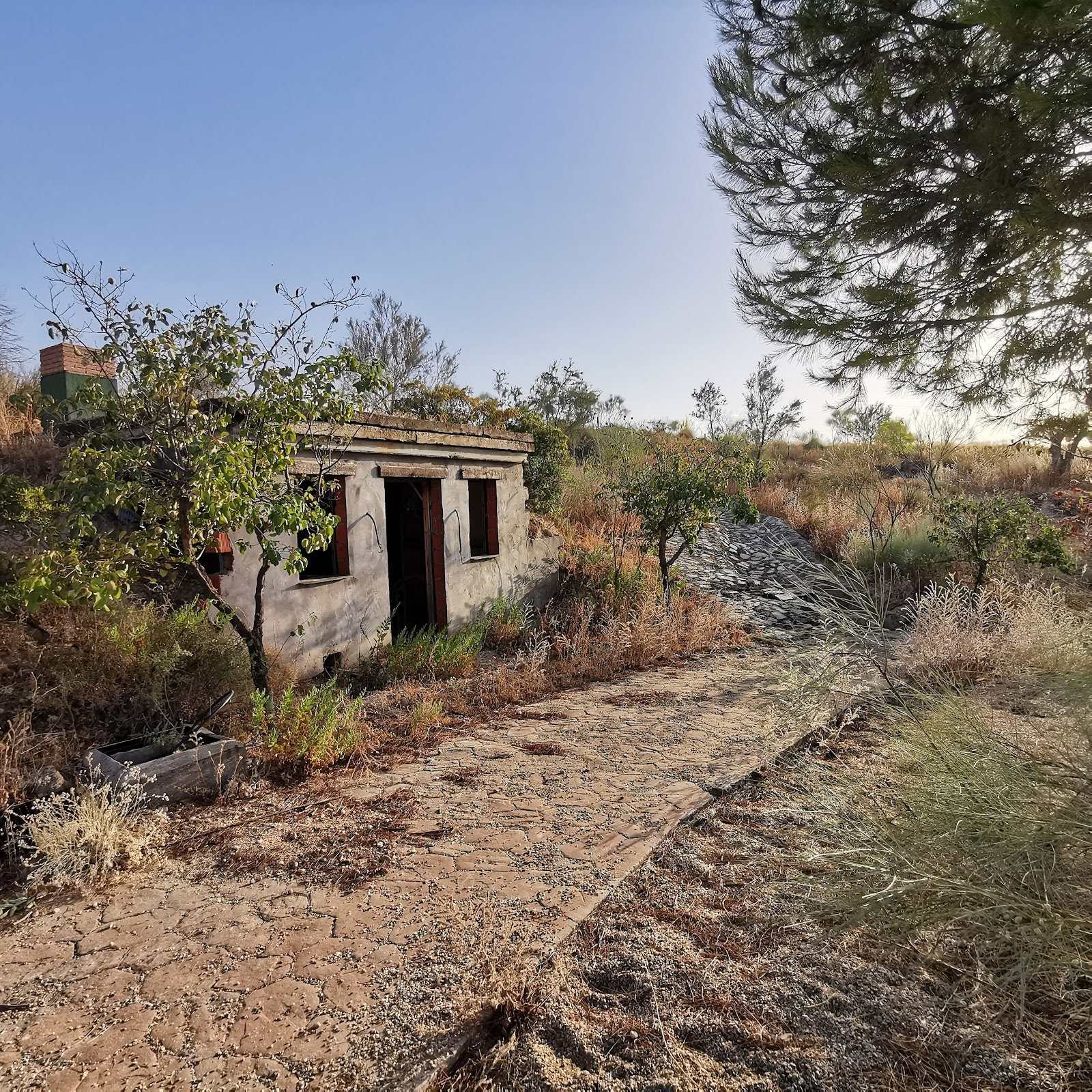 Qiterra Finca per Ritiri, Formazioni e Workshop