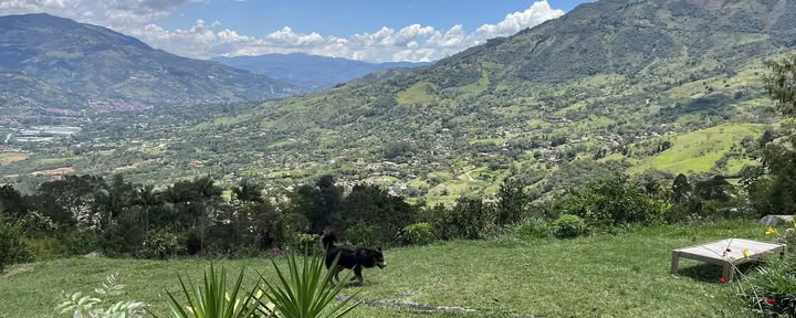 Harmonica Ayahuasca Ritiro Colombia (precedentemente Guacamayo)