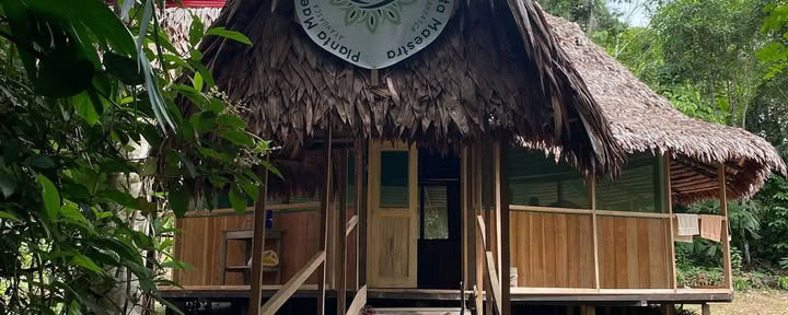 Planta Maestra Ayahuasca Healing Center, Iquitos Peru