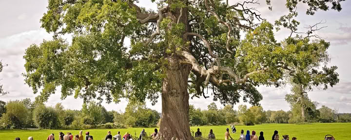 Sadhama Rewild Ritiri