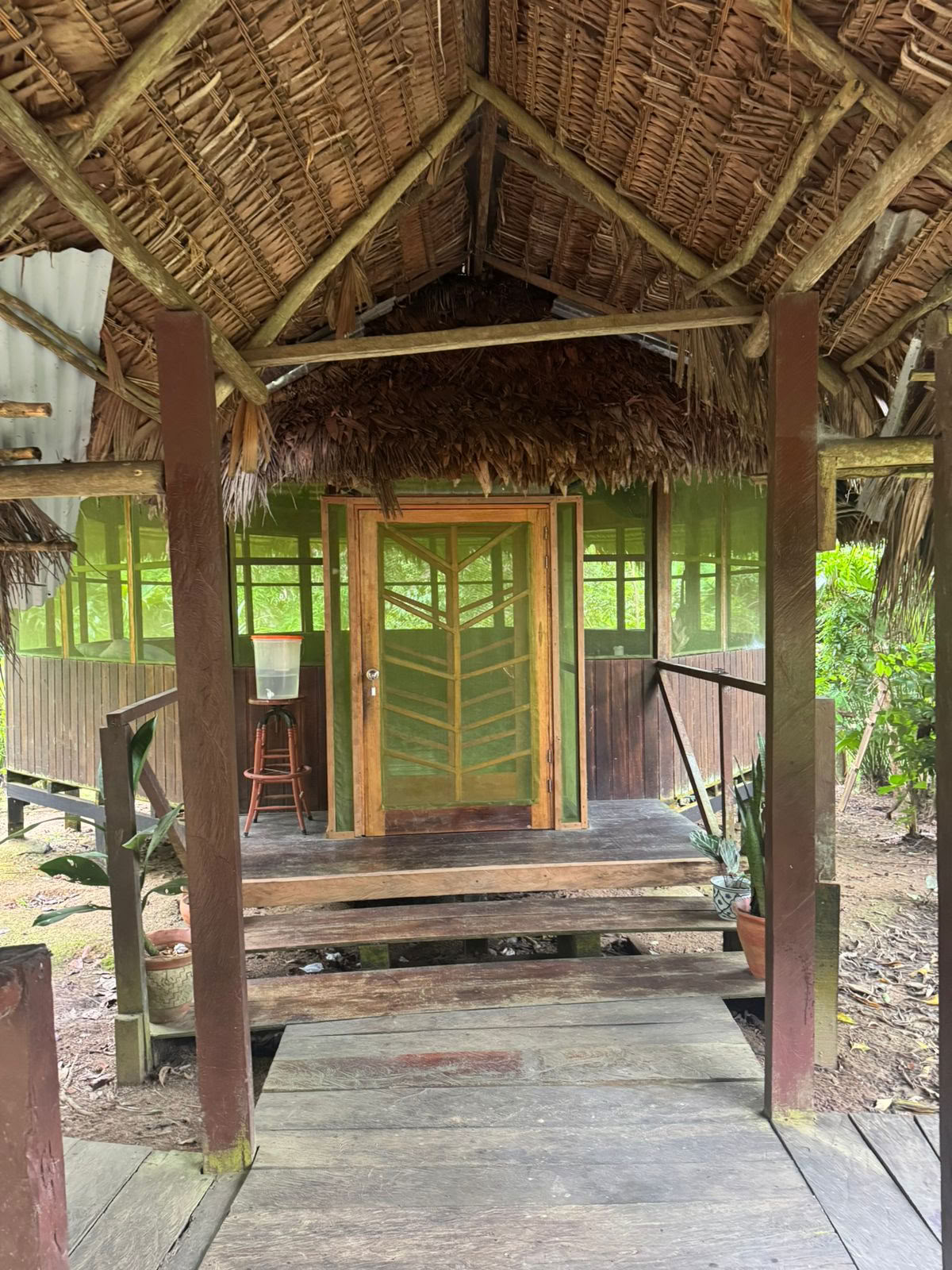 Lighthouse! Ritiro Ayahuasca