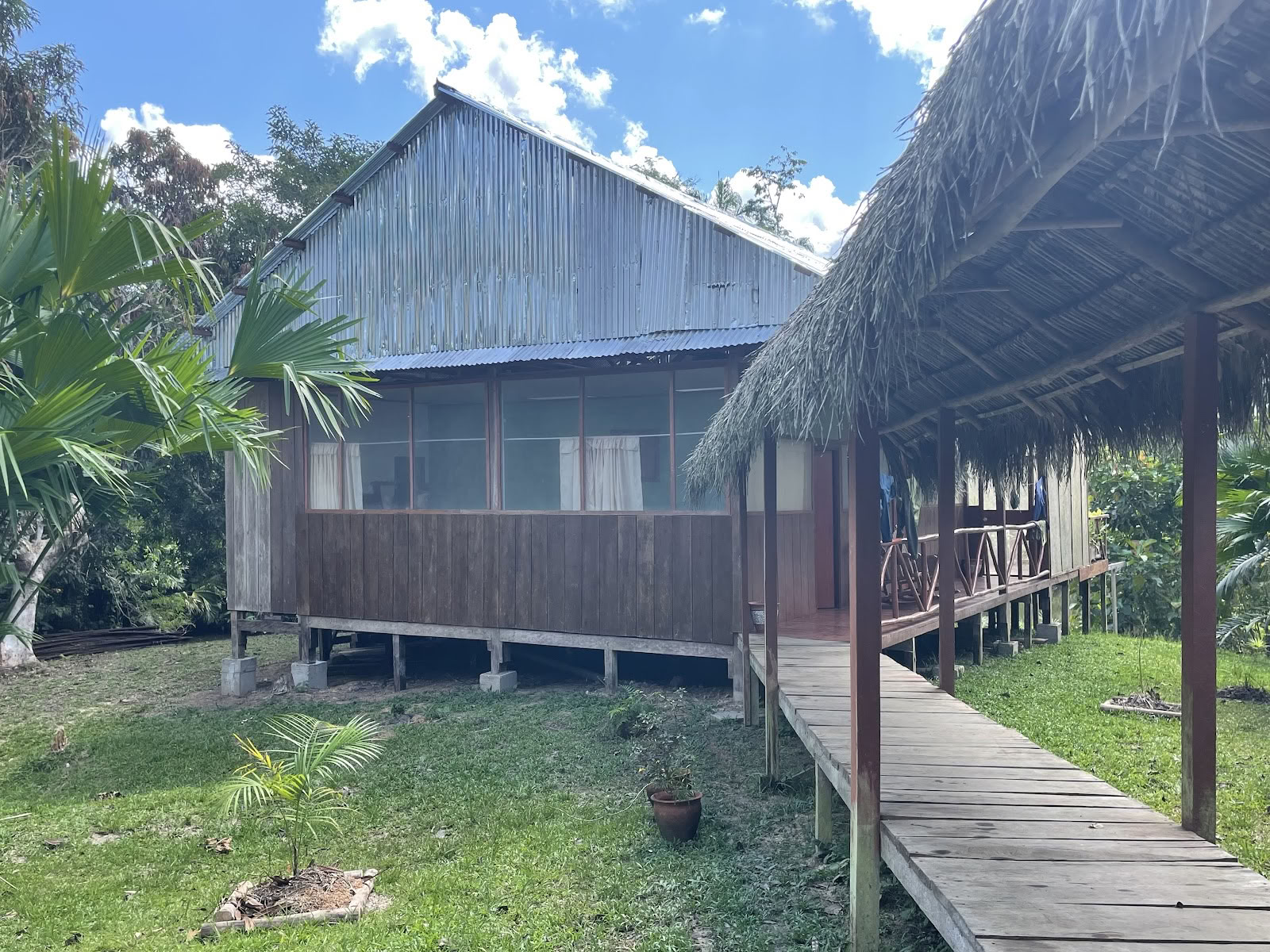 Lighthouse! Ritiro Ayahuasca
