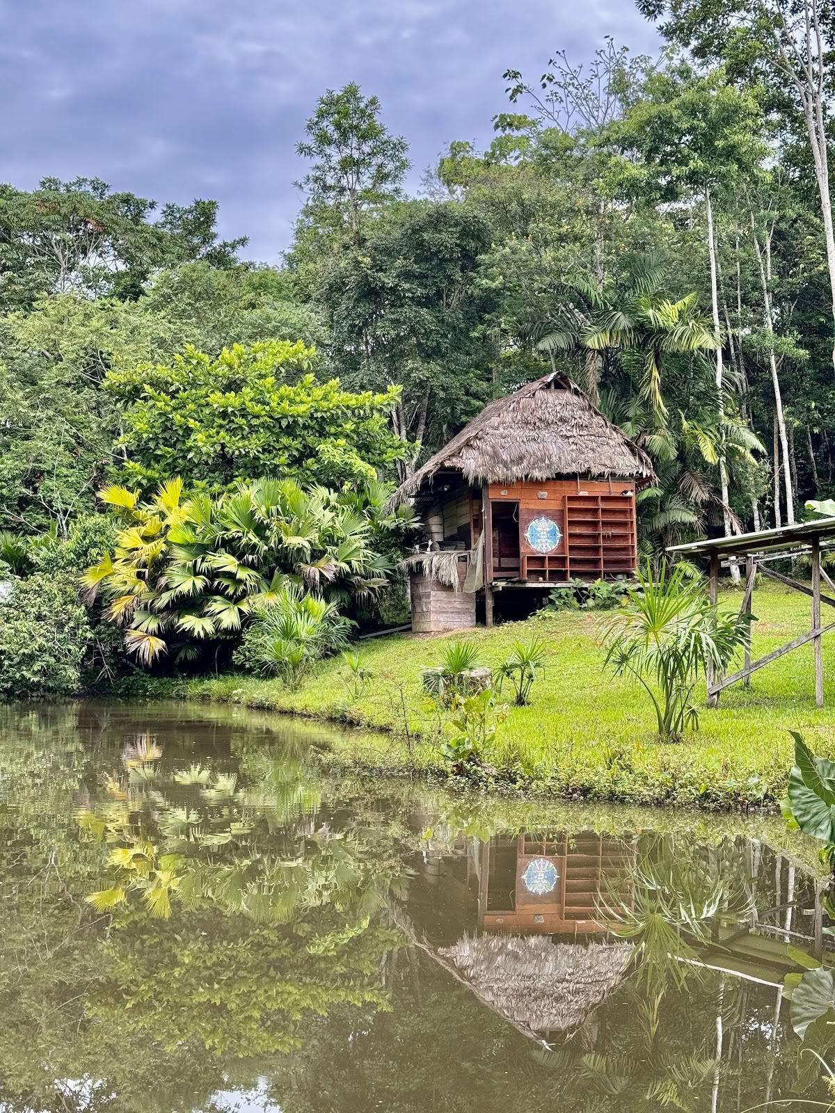 Lighthouse! Ritiro Ayahuasca