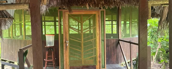 Lighthouse! Ritiro Ayahuasca