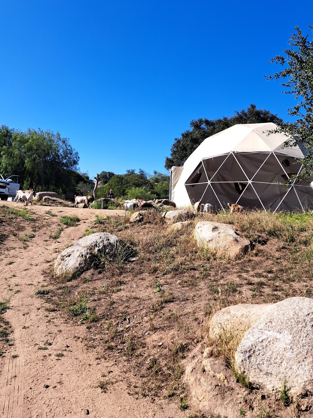 Splitrock Farm e Ritiro