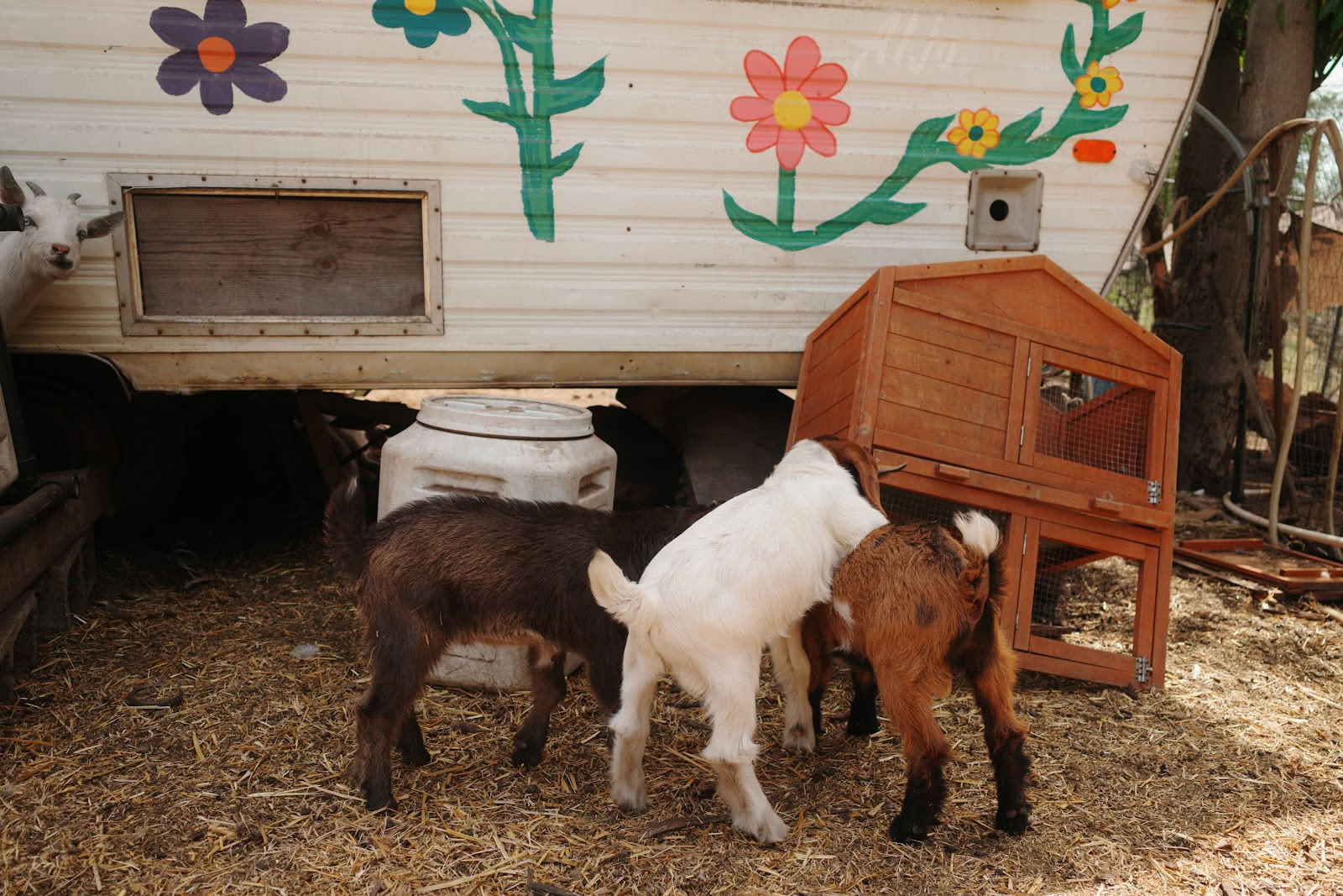 Splitrock Farm e Ritiro