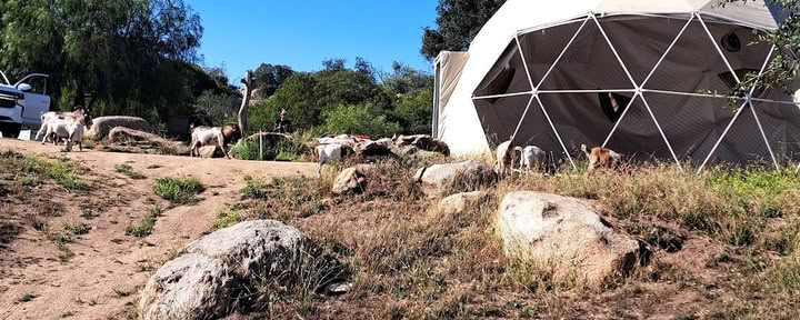 Splitrock Farm e Ritiro