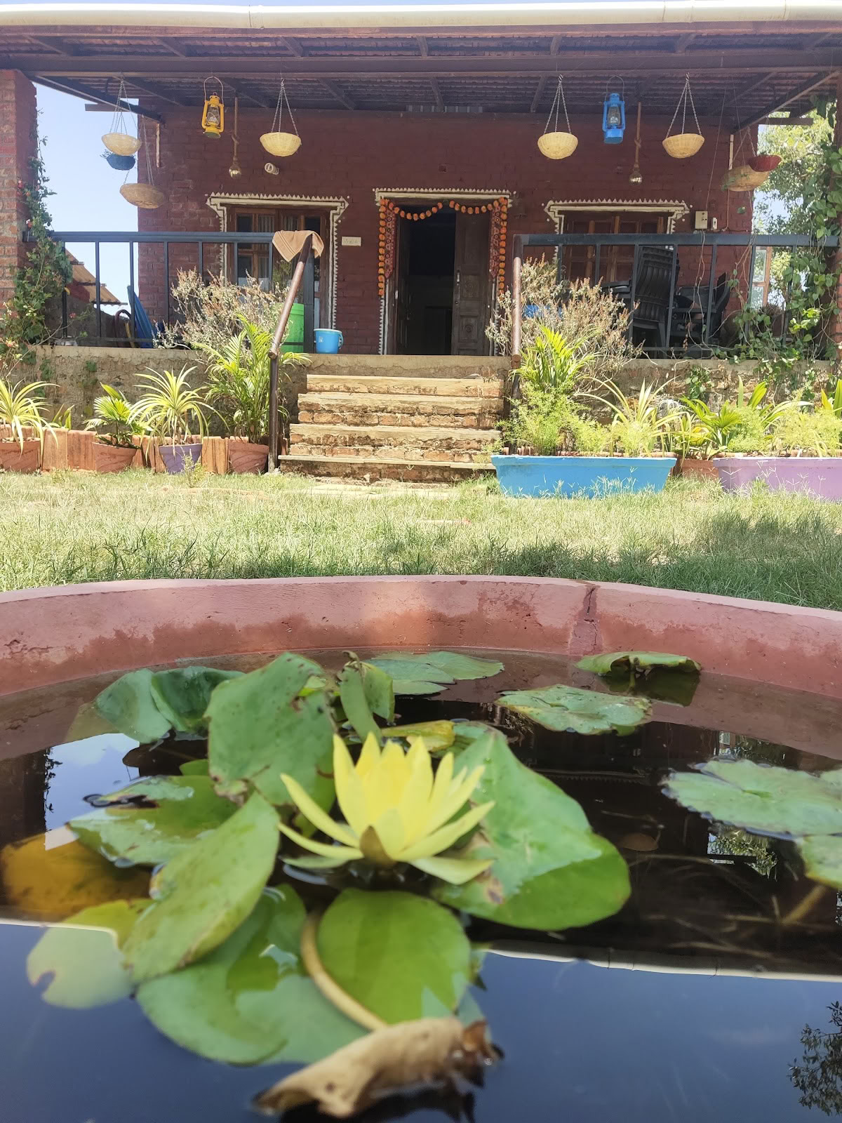 SiddhaDham - soggiorno in fattoria e ritiro benessere - Nashik / Igatpuri