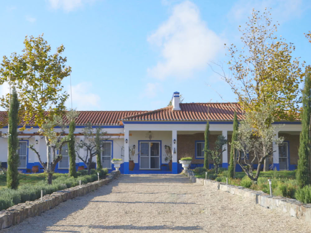 Tabula Rasa Retreat - Il centro di trattamento Ibogaine preferito in Europa per trattamenti Ibogaine di lusso | Clinica di terapia | Dipendenza