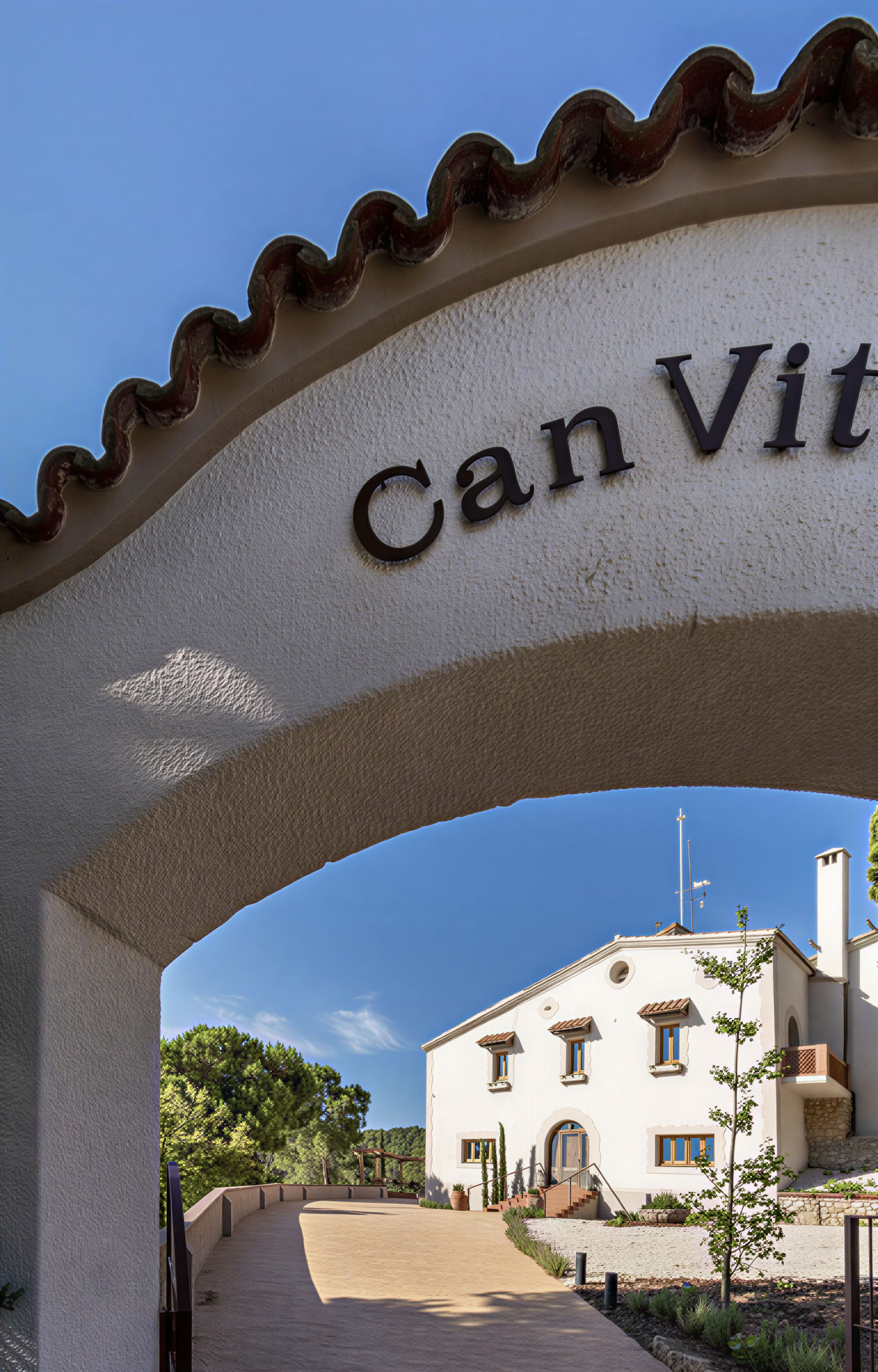 Can Vital