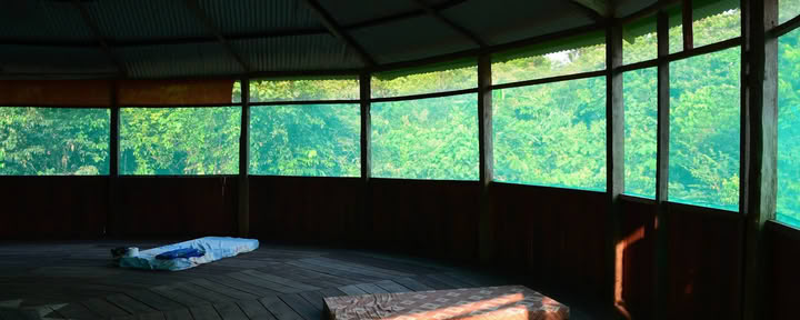Official, Selva Madre Ayahuasca Ritiro Iquitos Peru