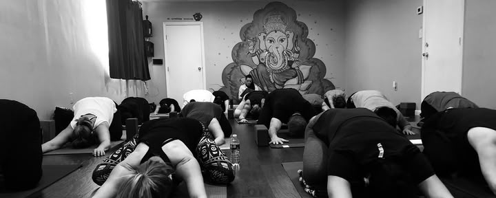 The Yoga Shack