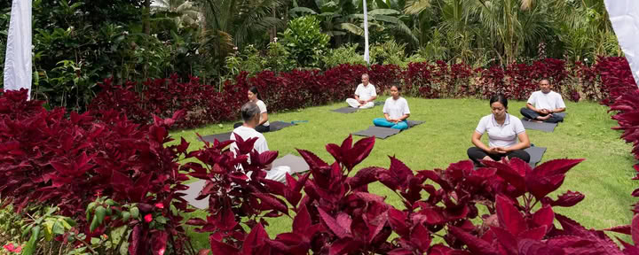 Bali Wellness & Culture by Taman Usada Bali
