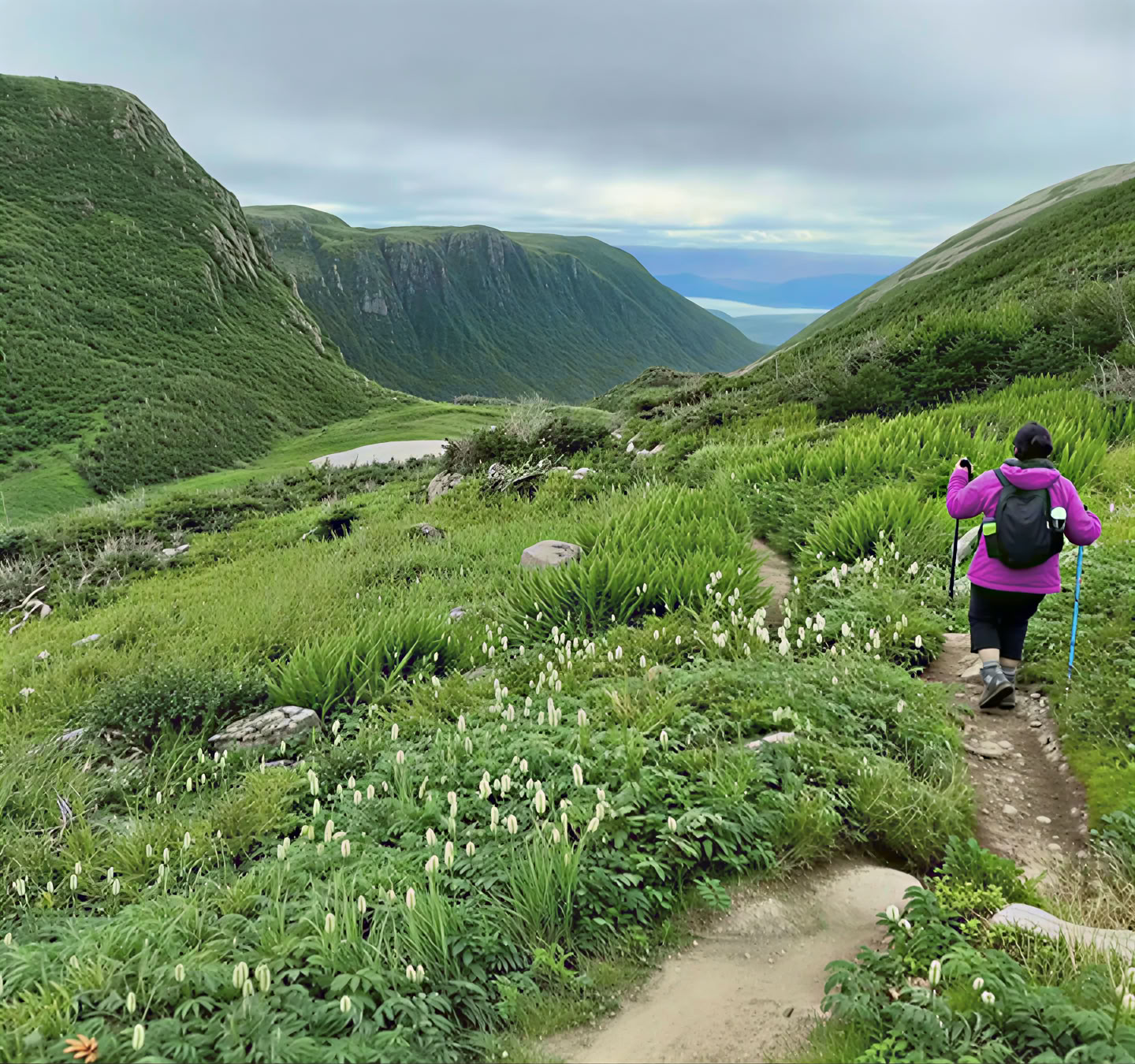 Transform Gros Morne Ritiri