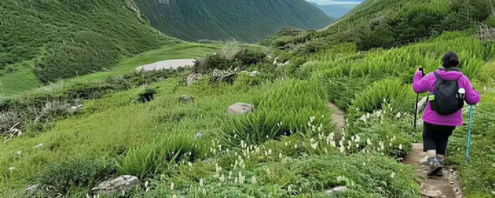 Transform Gros Morne Ritiri