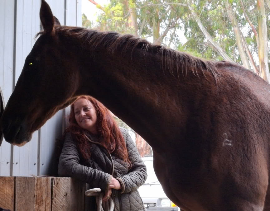 Heart of the Horse- Lavorare con i cavalli aiutando le persone a guarire