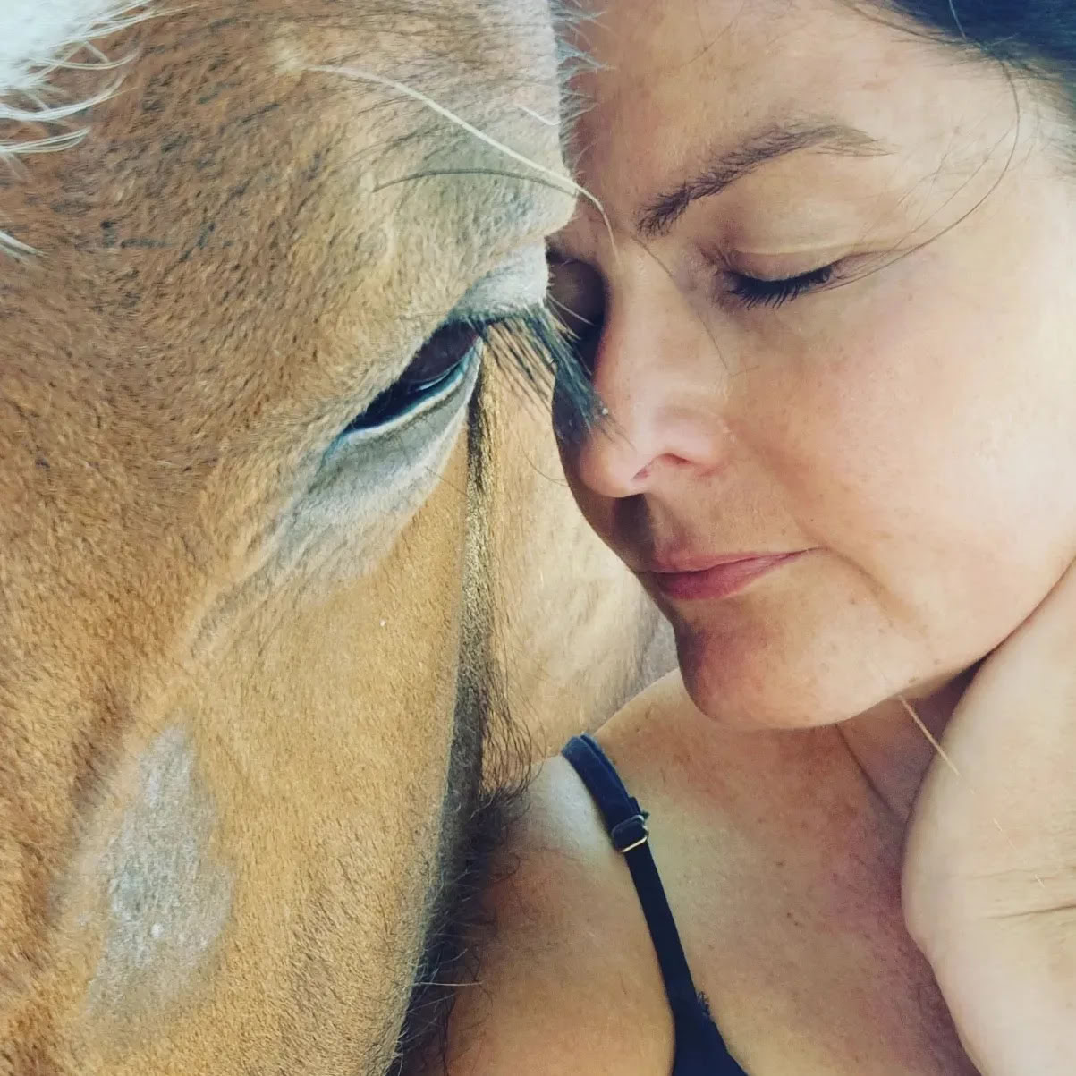 Heart of the Horse- Lavorare con i cavalli aiutando le persone a guarire