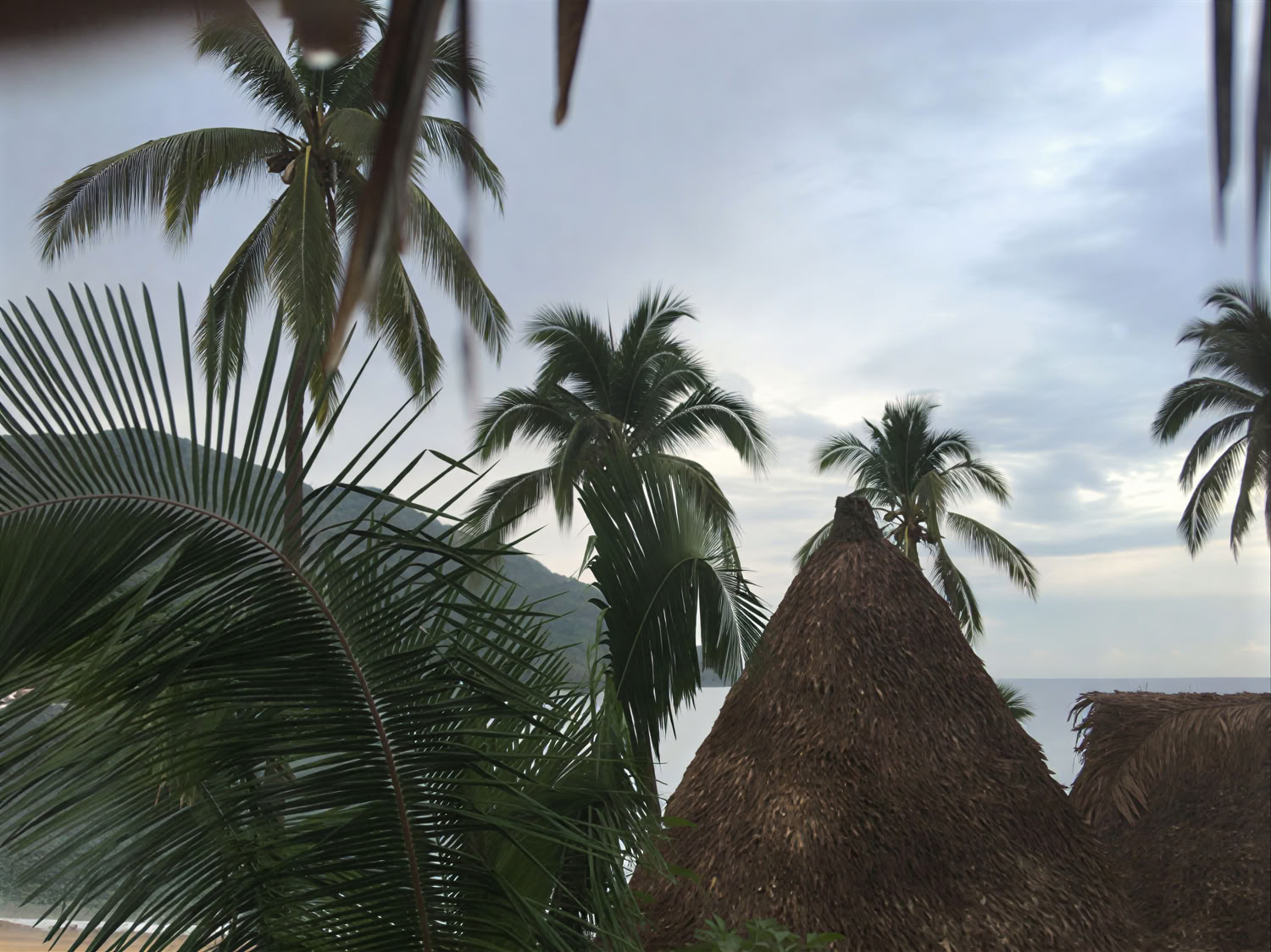 Pura Vida Wellness Ritiro