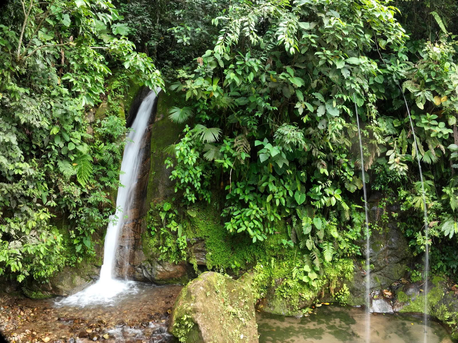 Mahadevi Ayahuasca Ritiro Colombia