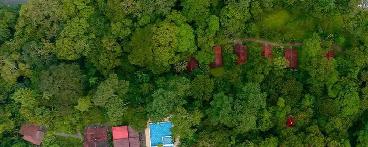 Mahadevi Ayahuasca Ritiro Colombia
