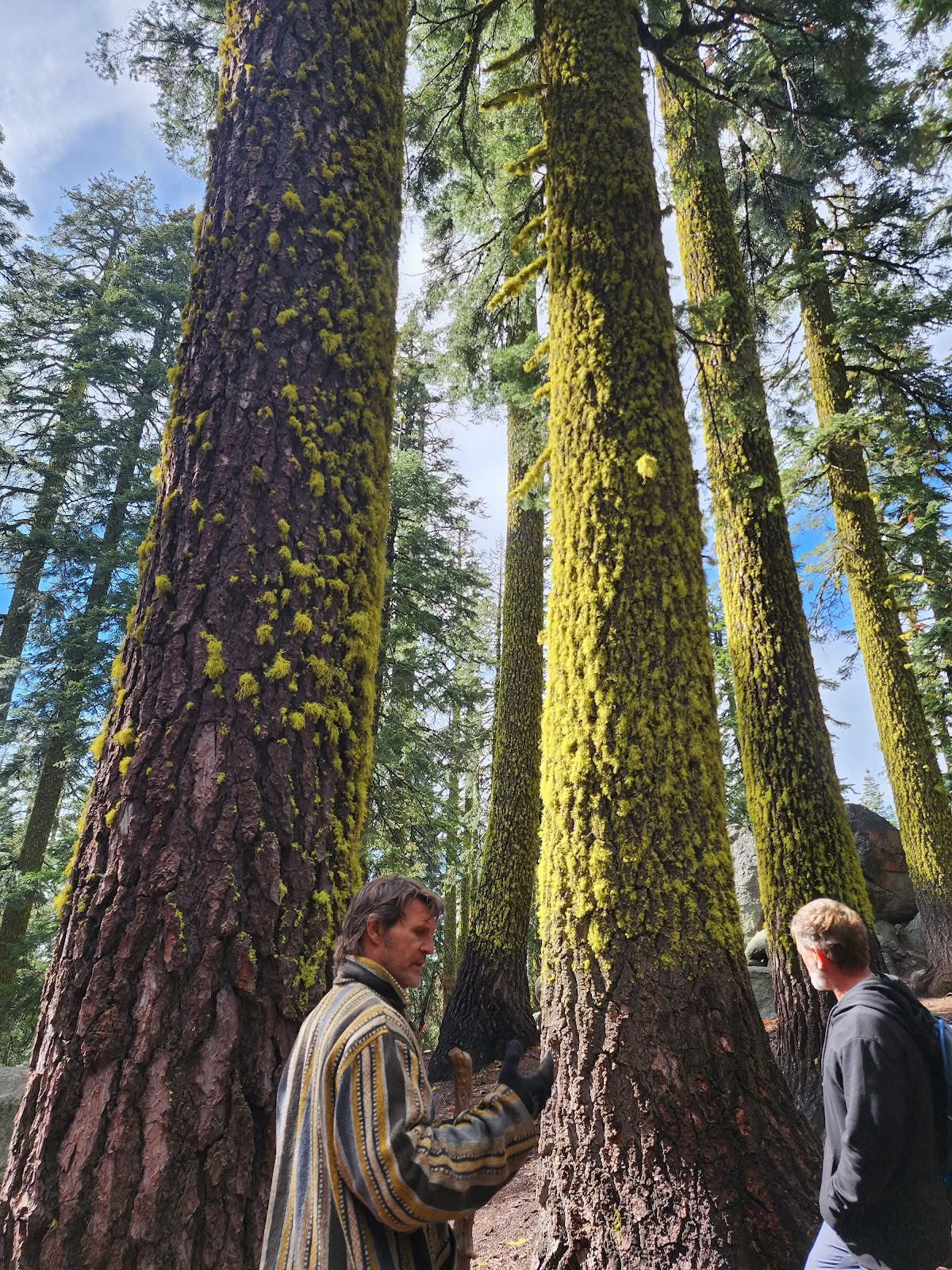 Shasta Vortex Adventures
