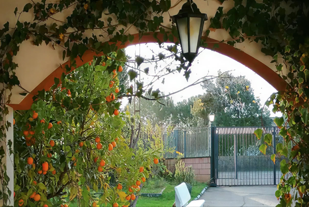 Casa Colibrí (Salute olistica)